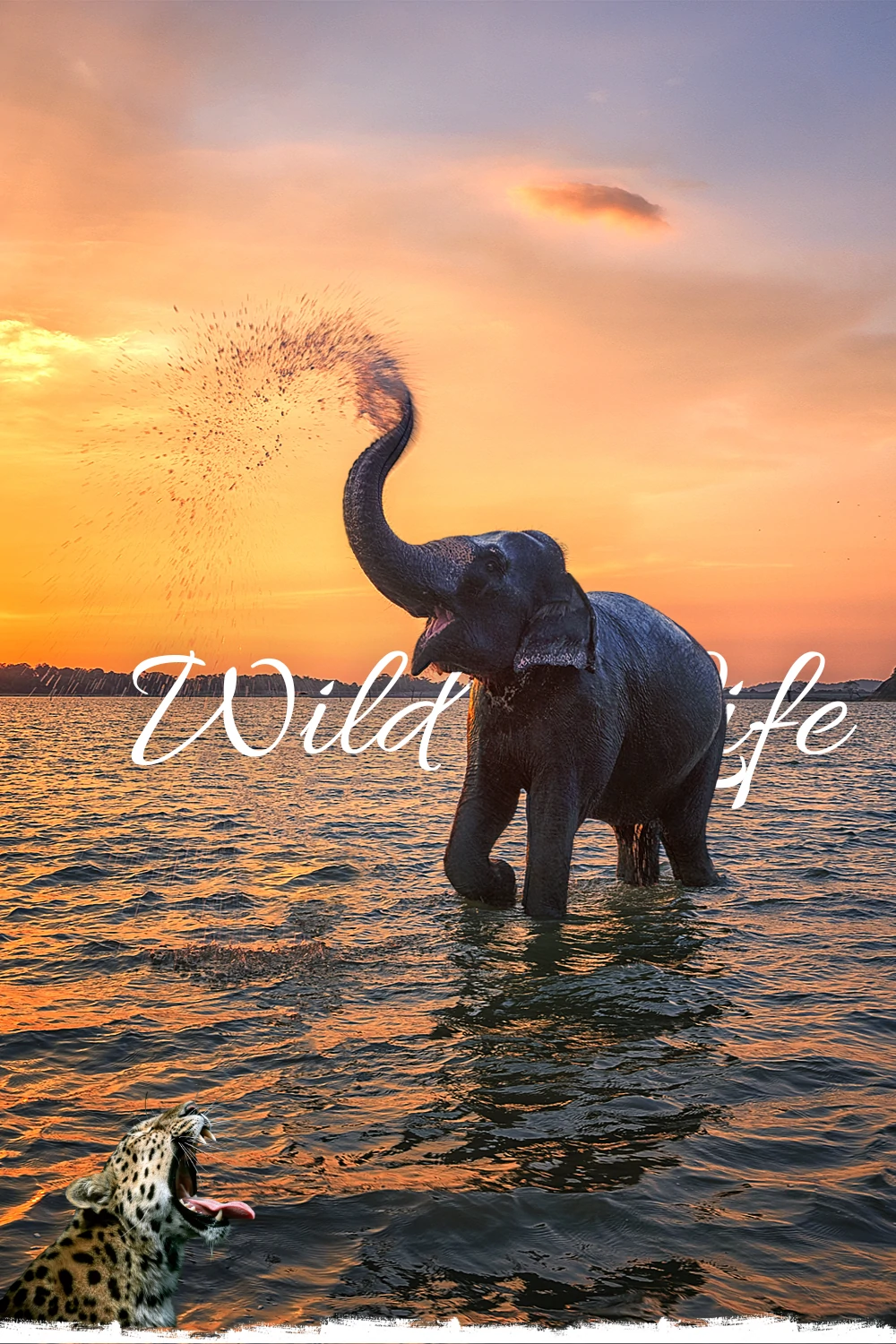 Home 12 Home banners 1000 x 1500 px 1