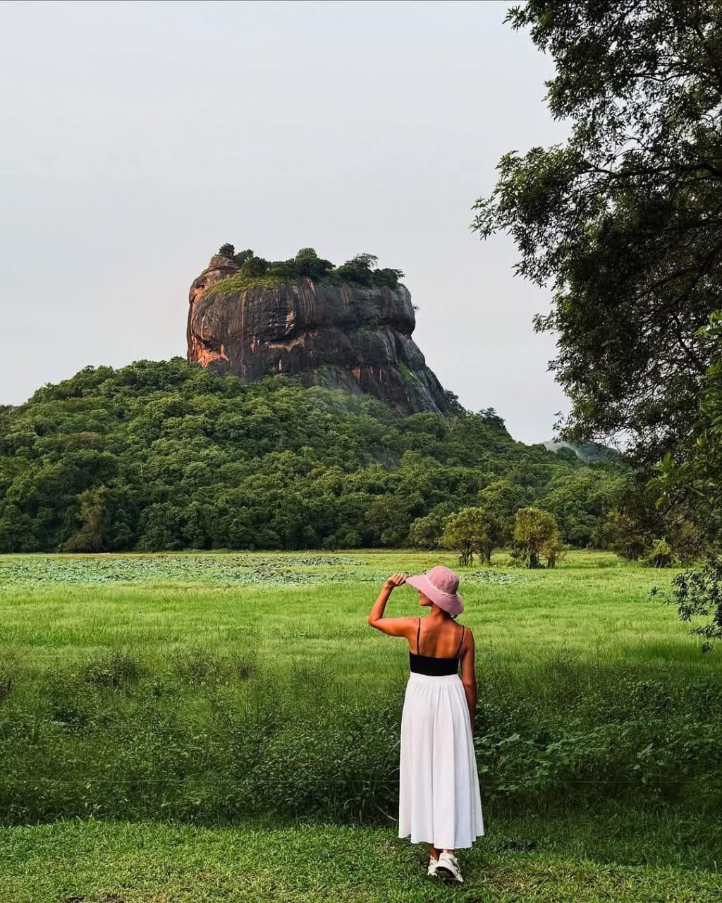 WhatsApp Image 2025 03 21 at 3.20.40 PM