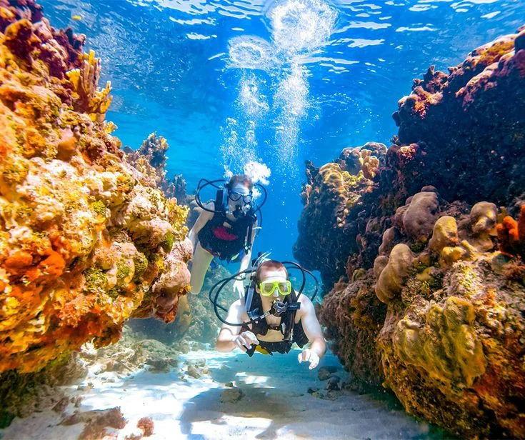 WhatsApp Image 2025 03 22 at 1.52.38 PM