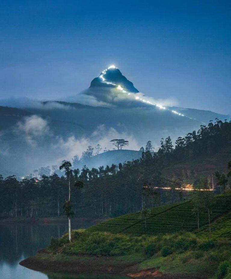 WhatsApp Image 2025 03 22 at 2.27.25 PM