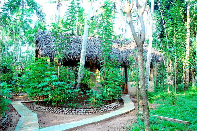 Euphoria Spice and Herbal