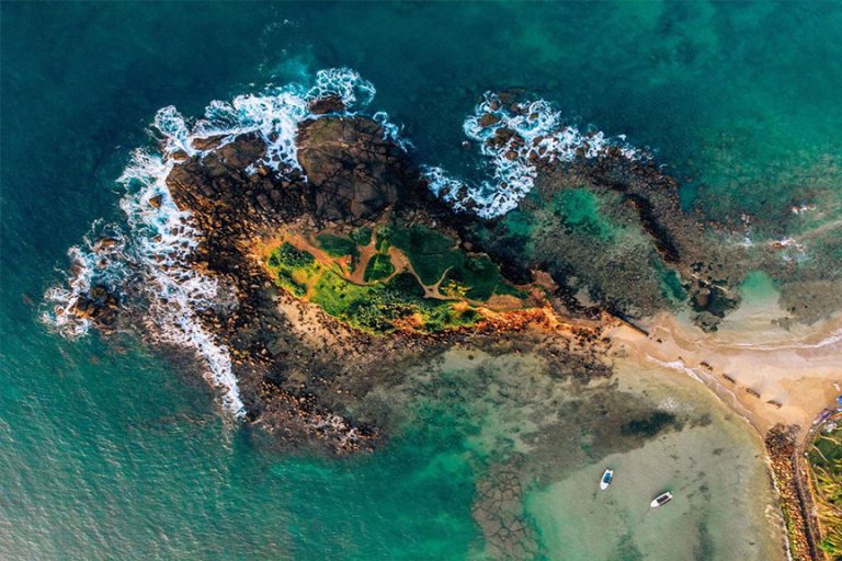 Parrot Rock 768x512 1