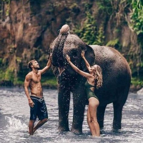 Pinnawala Elephant Orphanage