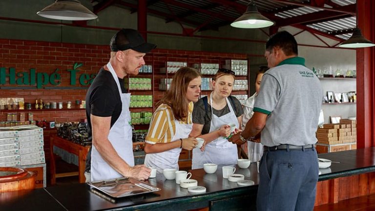 factorytour header mobile 3